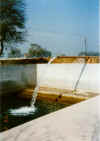 Eau miraculeuse &agrave; New Delhi en Inde
